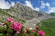 SENTIERO DEI FIORI ‘Claudio Brissoni’ ad anello da Capanna 2000 il 9 luglio 2020 - FOTOGALLERY